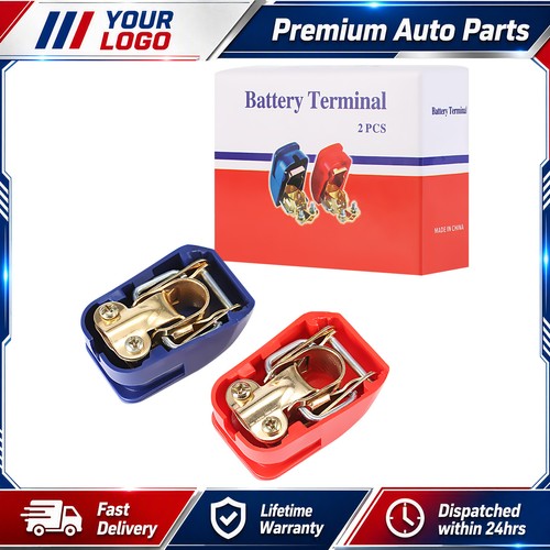 Car battery terminals - car, for